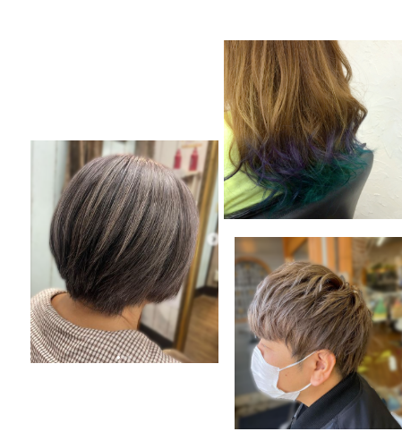 男性、女性のハイトーンカラー、シルバーヘアーの画像計3枚